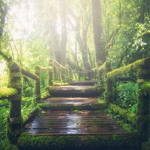 trample残忍践踏vk
